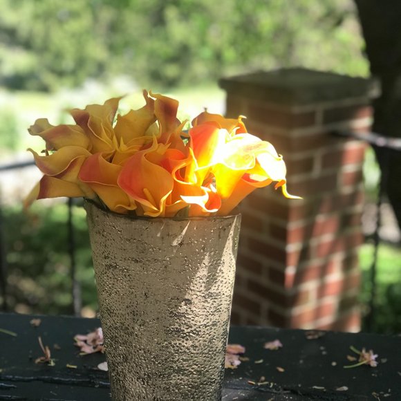 Luxe mango (fuego) calla lillies + vase - Picture 7 of 12